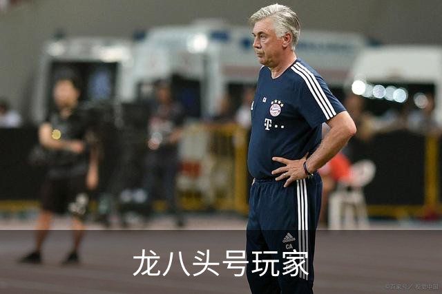 龙八头号玩家公司简介展示图